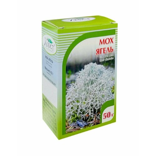 ������ ������ ����� ��� (50 �) ����