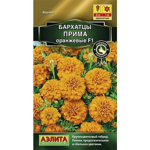 ������ ������ ������ �������� ����������� ����� ��������� F1 10�� 35�� (������) ����