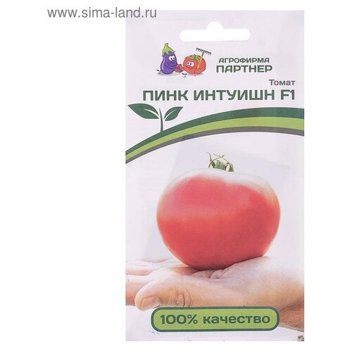 ������ ������ ������ ����� 