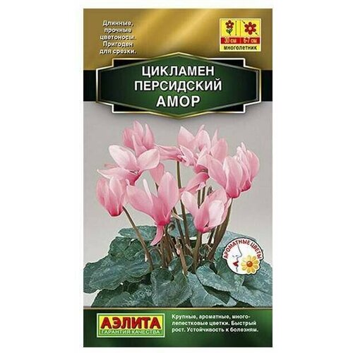 ������ ������ ������. �������� 