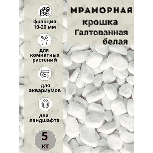 ������ ������ ��������� ������ ����� ����������� 10-20 ������� (5 ��) ��� ��������� � ������� �������� ����