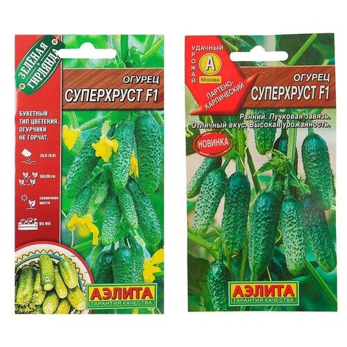 ������ ������ ������ ������ 