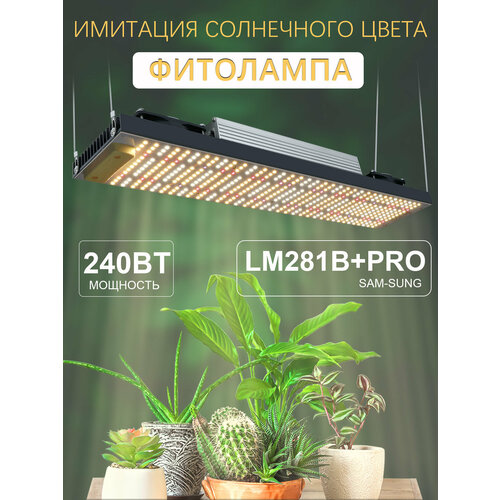 ������ ������ �������������� 240w Diode Quantum LED Grow Light ������ ������ ��������� Phyto ����� ��� ����� �������� ��������� ����