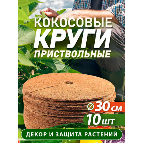 ������ ������ ������������ ���� �� ���������� �������, ������� 30 ��, 10 ���� ����