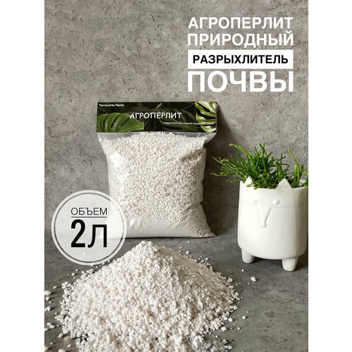 ������ ������ ������ ��� �������� Terracotta Plants 2 ����� ������������ ��� ������ ����