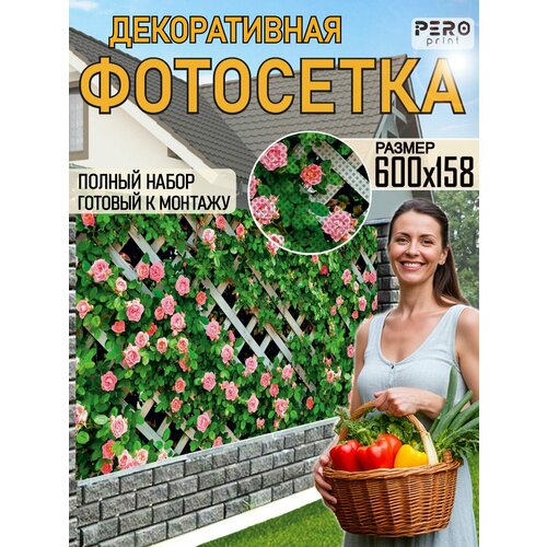 ������ ������ ��������� ��� ������ 600�158�� ����