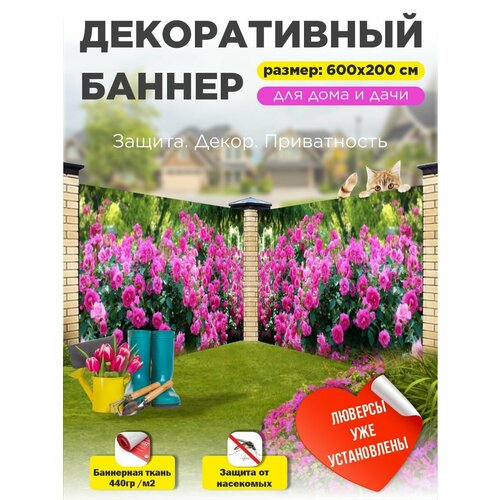 ������ ������ ��������� ������ �� ����� � ��������� 600�200 �� ����