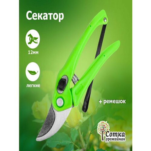 ������ ������ ������� � ������������ �������� 180 �� `��������� �����` XL833 ����