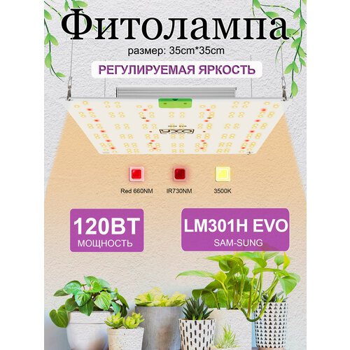 ������ ������ ���������� ��� ��������/ quantum board c ������� LM301H EVO, ��������� 120 ����, ������� ���� ����