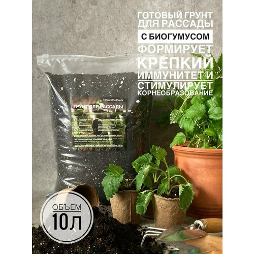 ������ ������ ����� ��� ������� 10 ������ � ���������� ������������� Terracotta Plants �������� ������ ����