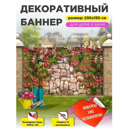 ������ ������ ��������� ������ �� ����� � ��������� 250�150 �� ����