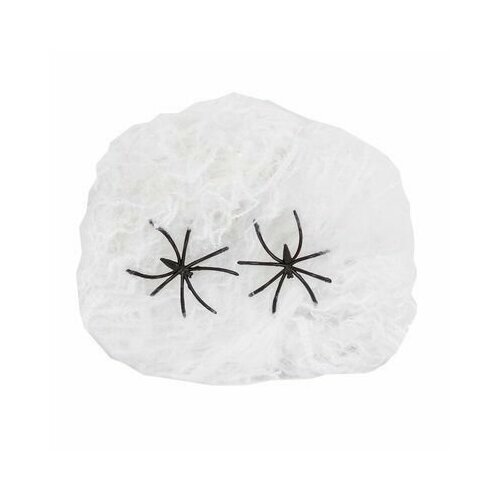 ������ ������ ������������ ������������� ����� ������� �� �������� � ��������, ������������ ��������� ����