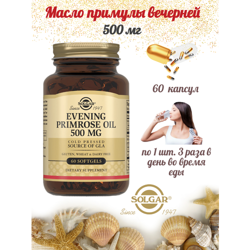      Evening Primrose Oil Solgar 500  60    -     , -,   