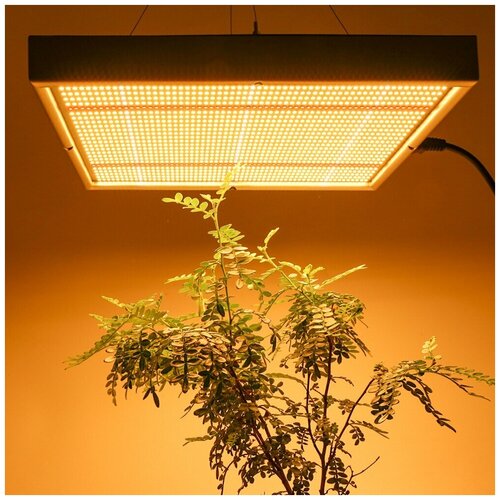 ������ ������ �������������� ��� �������� 150�� ��������� ����