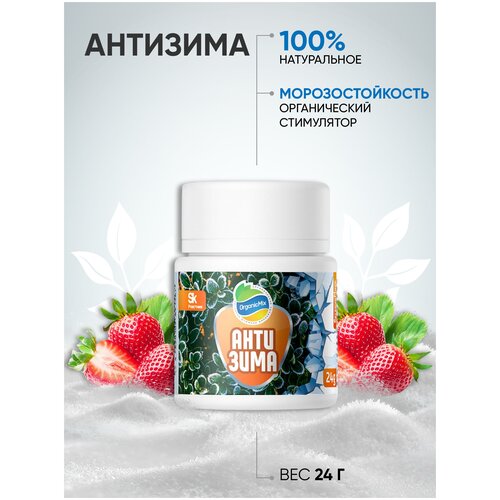 ������ ������ ������� ���� / ������������ ���������, ���������� �������� 24 �� ����