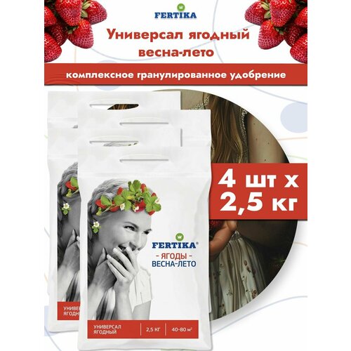 ������ ������ ��������� ������� ��������� ������� �����-����, 4 �� �� 2,5 �� ����