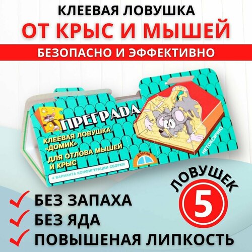 ������ ������ �������� ������� ������� �� ����� � ���� 5 �� ����