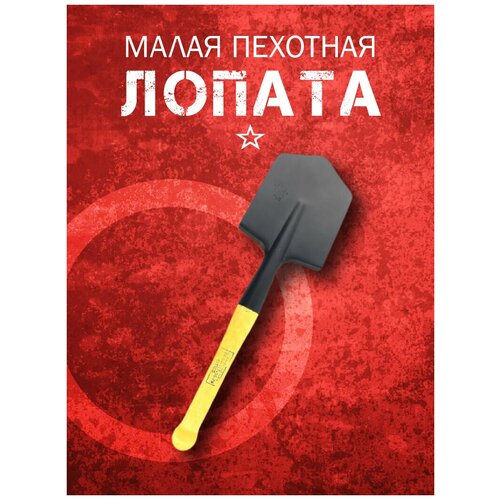 ������ ������ ������ ����� �������� ���� (�����) ����