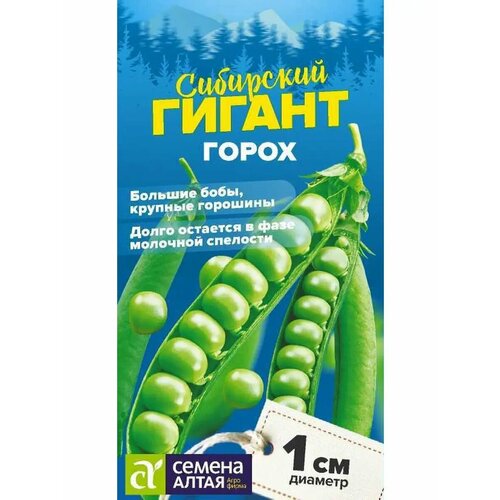 ������ ������ ������ ����� 