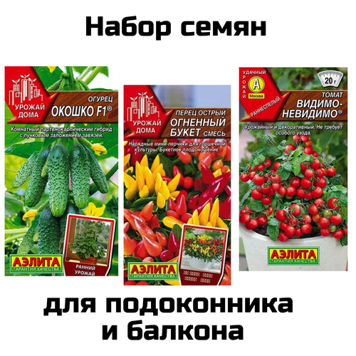 ������ ������ ������ ��� ������� �����: ������, ����� ������, ����� ����� ����