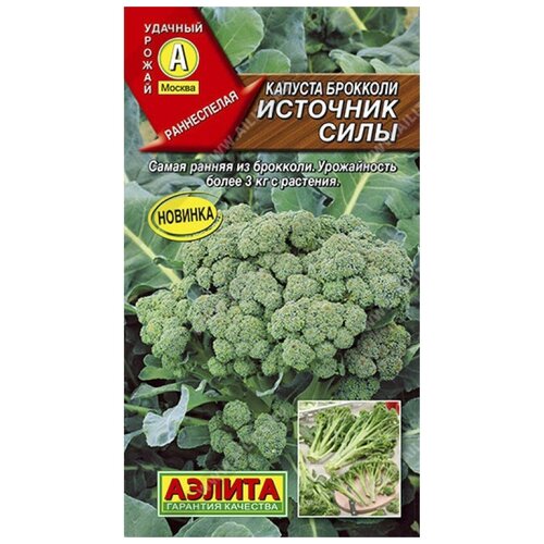 ������ ������ ������. ������� �������� 