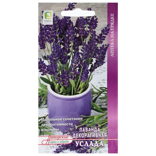 ������ ������ ������ ����� ������� ������������ ������ 0.25 �, 3 ��. ����