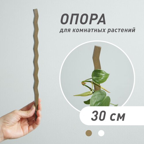 ������ ������ ����� ��� �������� 