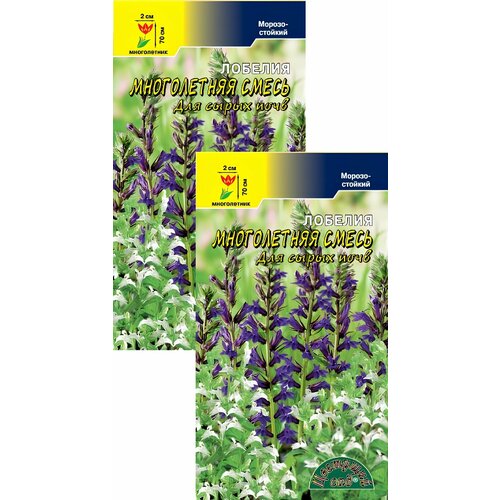 ������ ������ ������� ����������� ���������������� (0,03 �), 2 ������ ����