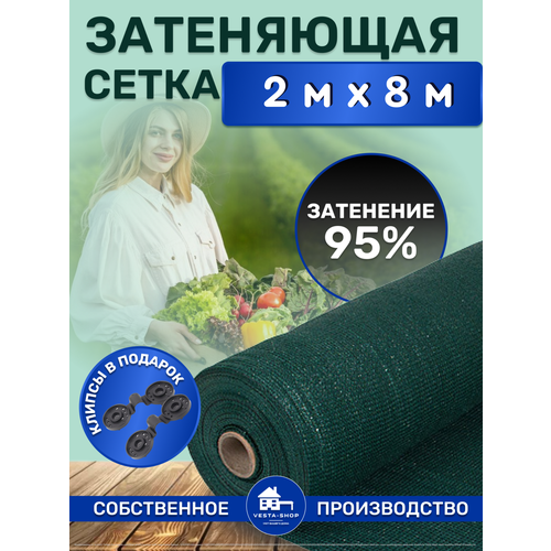 ������ ������ ����� ���������� �������, ��������� 95%, ������ 2�8� ����