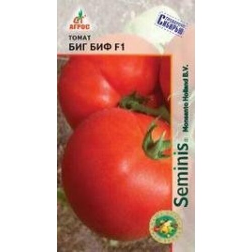 ������ ������ ������ ����� ��� ��� F1 5�� ����� ������ (�����) ����