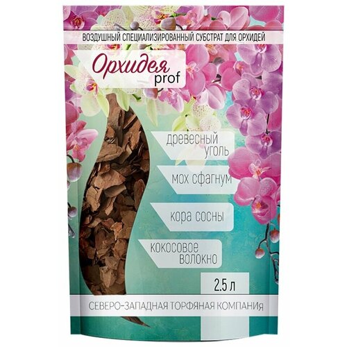 ������ ������ ������������������ �������� ��� ������� 