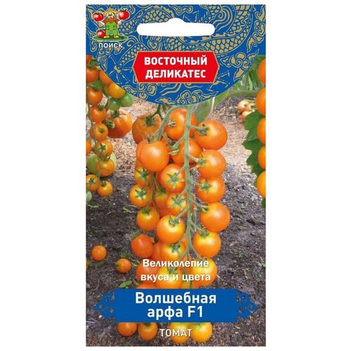 ������ ������ ������ ����� ��������� ��������� ����� ��������� ���� F1 10 ��. ����