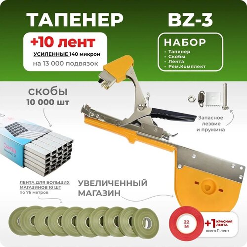     Bz-3++10     -     , -,   