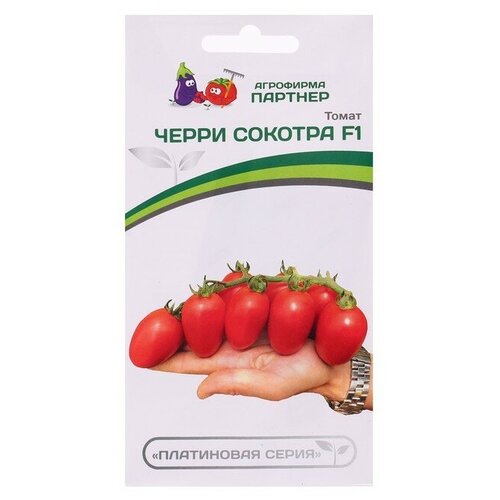 ������ ������ ������ ����� 