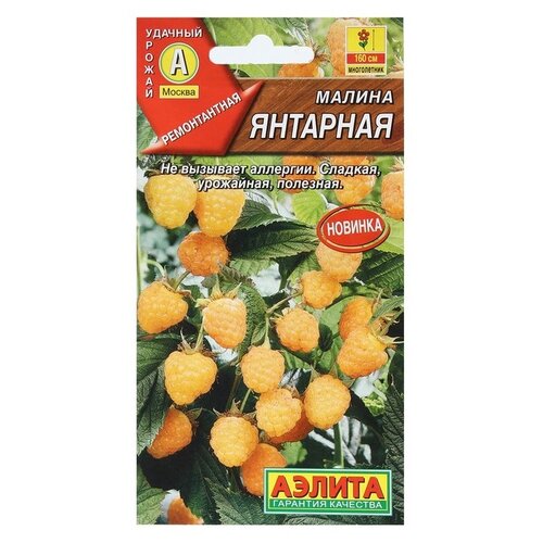 ������ ������ ������ ��������� ������ ������ ��������, 0.05 � ����