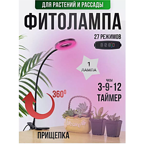 ������ ������ ��������� ��������� ��� �������� � �������, ���������������� ����� �� �������� ��� �������� ����, ����, 1 ����� ����