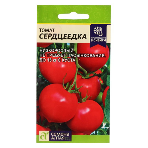 ������ ������ ������ ����� ���������� ������� ������� ����