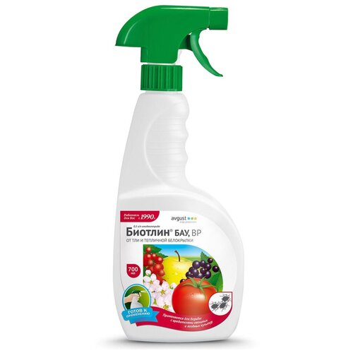 ������ ������ ������� ������� 