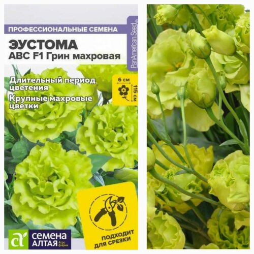 ������ ������ ������� ��� ���� ��������/��� ���/�� 5 ��. ����