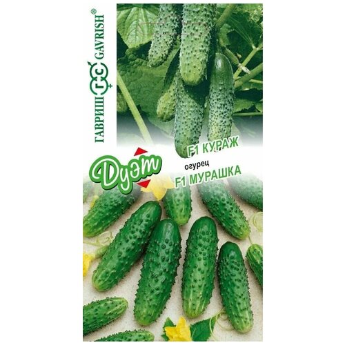 ������ ������ ����� ����� ������ ����� F1, � ������ ������� F1, 140�� ������, ���� ����