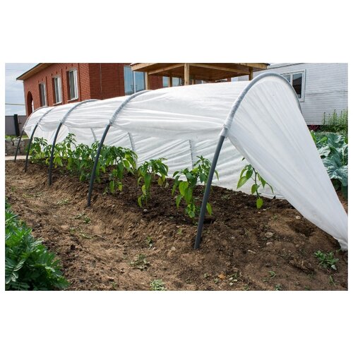 ������ ������ ������ 