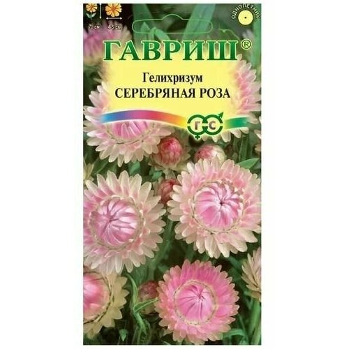 ������ ������ ������. ���������� 