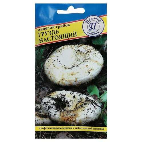 ������ ������ ������� ������ ������ ��������� 50 �� ����