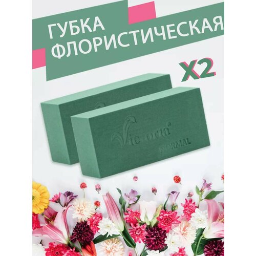 ������ ������ ����� �������������� (������, ����), 23 � 11 � 7,5 ��, 2 ����� ����