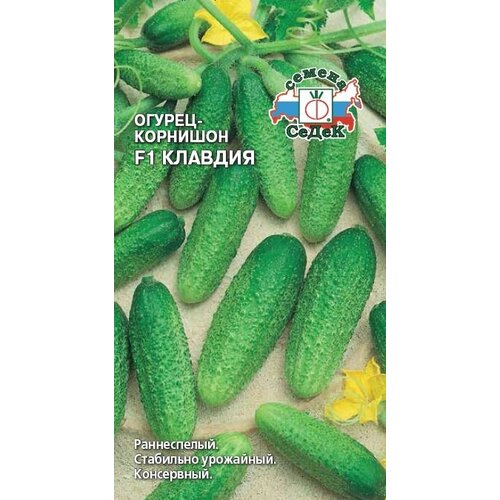 ������ ������ ������ ����� ������ ������� F1 ����