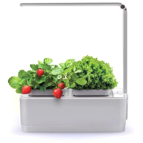 ������ ������ ����� � ������� �����-��� iGarden IGL2021, 1 ��., ����� ����