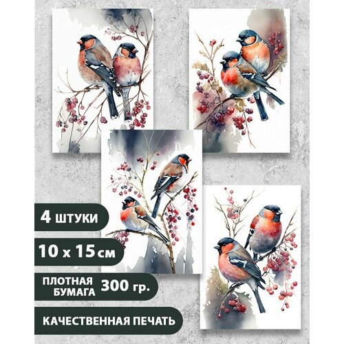 ������ ������ ����� �������� 