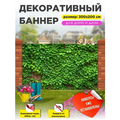 ������ ������ ��������� ������ �� ����� 300 �� � 200 �� � ��������� ����