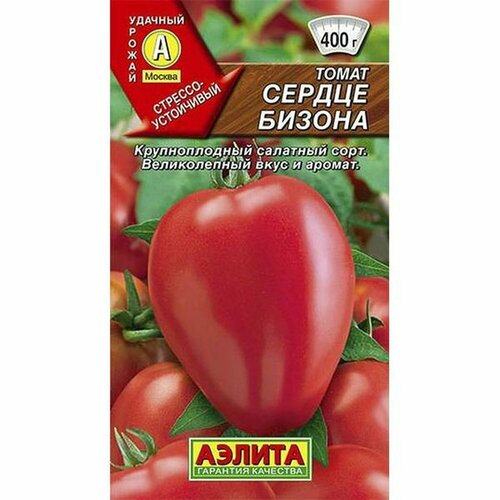 ������ ������ ������ ����� ������ ������ (�����������), ������������, (������) 20�� ����