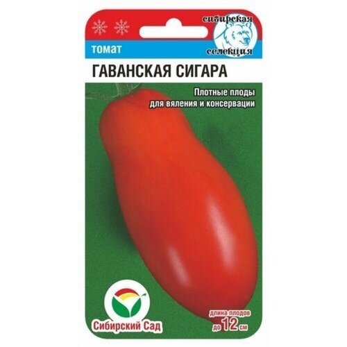 ������ ������ ������ ����� ��������� ������ 20�� ����� (��������� ���) ����